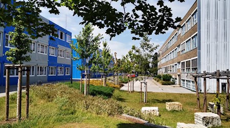 The school grounds of the Dresden University School with blue-grey container building, old GDR building and landscaped outdoor area as a green studio in the sunshine