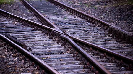 Construction work begins on the Nossen-Meißen railroad line to maintain the infrastructure. (Symbolic photo) / Photo: Jens Büttner/dpa