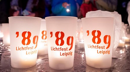 Federal Chancellor Olaf Scholz will give the speech on democracy on the 35th anniversary of the Peaceful Revolution. (Archive photo) / Photo: Hendrik Schmidt/dpa