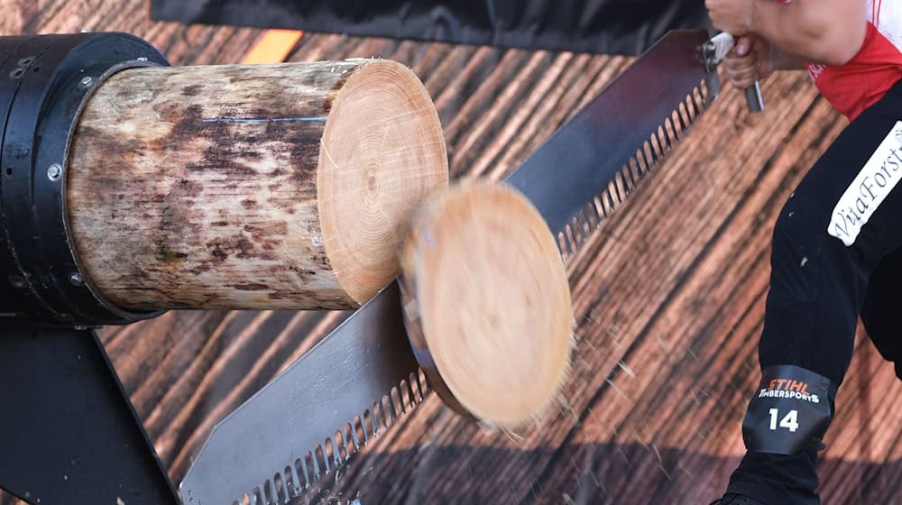 Germany's best lumberjacks will determine their champions this weekend in Klingenthal.  / Photo: Sebastian Willnow/dpa