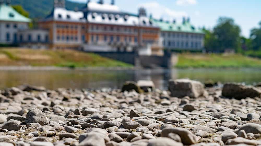 Dresden: Die Stadt verbietet die Wasserentnahme aus fast allen Gewässern, die Elbe ist nicht betroffen (Archivbild) / Foto: Robert Michael/dpa