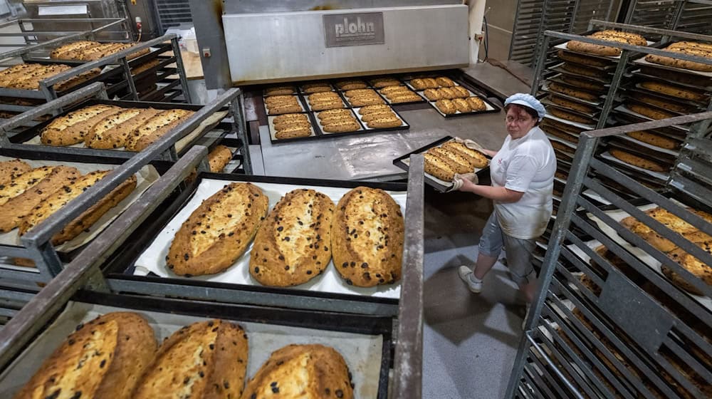 Weihnachtsstimmung im Hochsommer: Im Erzgebirge werden in diesen Tagen die ersten Stollen gebacken.  / Foto: Hendrik Schmidt/dpa