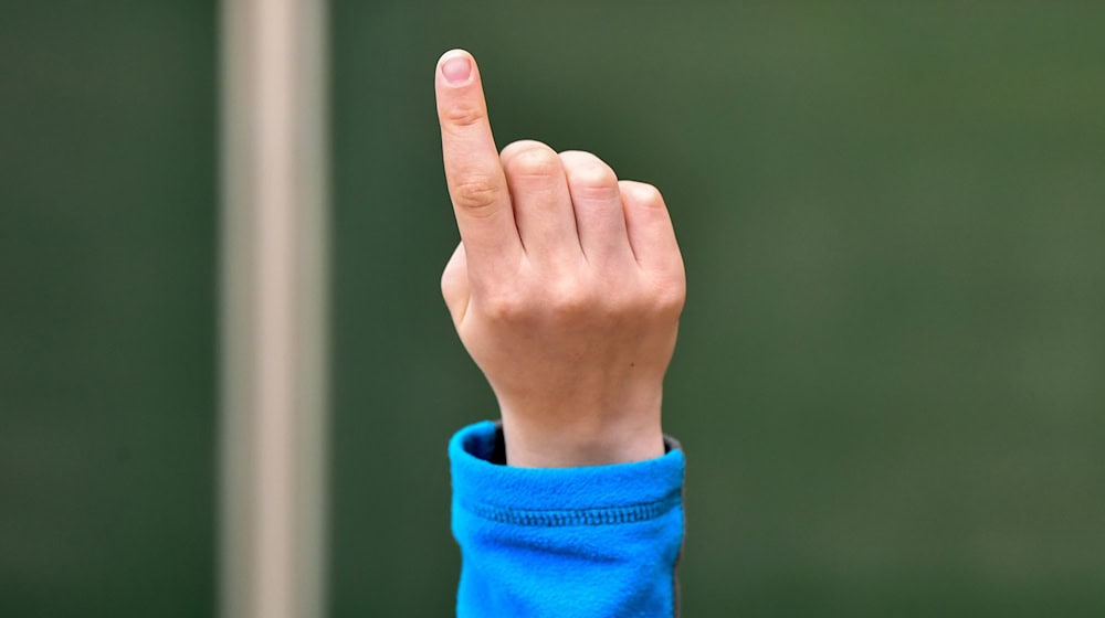 The Greens want to strengthen the mental health of Saxon schoolchildren and ensure less stress when learning. (Illustration) / Photo: picture alliance / Patrick Pleul/dpa-Zentralbild/ZB