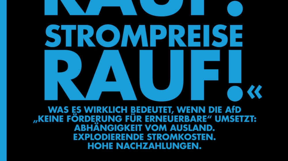 Sachsen Wahlen 2024: Die Risiken einer AfD-Regierungsbeteiligung / Aktion von https://afdnee.de