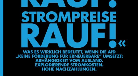 Sachsen Wahlen 2024: Die Risiken einer AfD-Regierungsbeteiligung / Aktion von https://afdnee.de