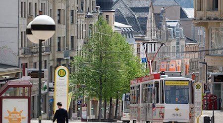 According to Mayor Zenner, improving the funding for public transport is essential for a medium-sized city like Plauen.
city like Plauen. (Archive photo) / Photo: Sebastian Willnow/dpa-Zentralbild/dpa