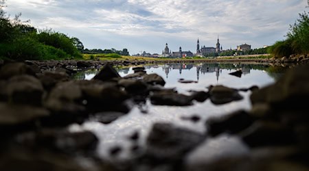 Ліва партія презентує план захисту від спеки з конкретними заходами. (Архівне зображення) / Фото: Robert Michael/dpa