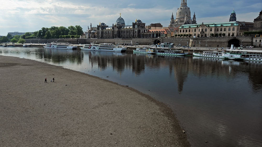 Blick auf die schmale Elbe und die Dampfer am Terrassenufer in Dresden. Archivbild / Foto: picture alliance / dpa