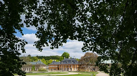 Ein Roboter soll künftig im Schlosspark Pillnitz vor allem die Kübelpflanzen gießen. (Archivbild) / Foto: Robert Michael/dpa