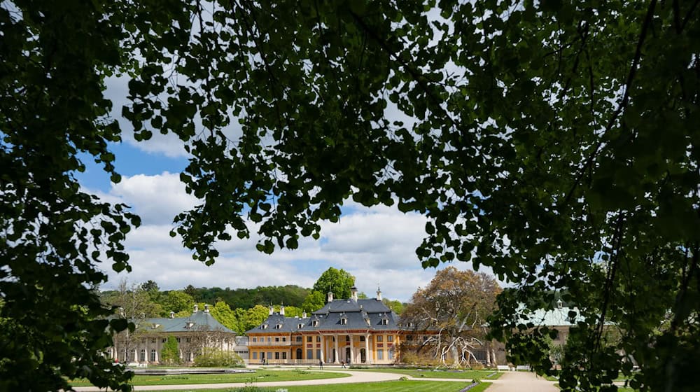 Der Schlosspark Pillnitz mit dem Bergpalais aus dem 18. Jahrhundert. / Foto: Robert Michael/dpa