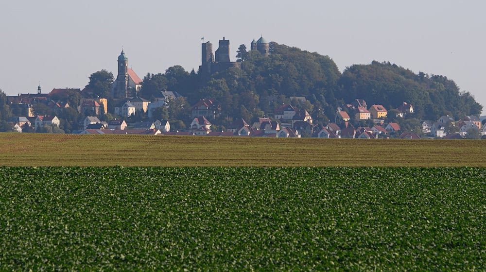 Die Burgstadt Stolpen am Rande der Sächsischen Schweiz. Dort will sich die Bürgerstiftung «Stolpener Land» engagieren. (Archivbild) / Foto: Robert Michael/dpa-Zentralbild/dpa