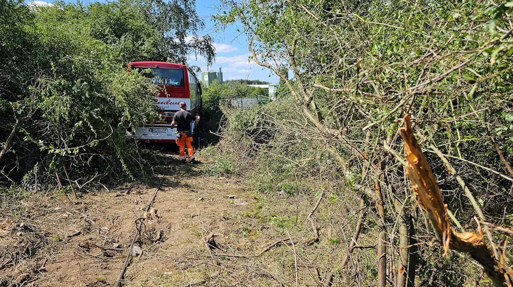 Medzinische Probleme beim Busfahrer haben wohl den Unfall ausgelöst. (Archivbild) / Foto: Mike Müller/TNN/dpa