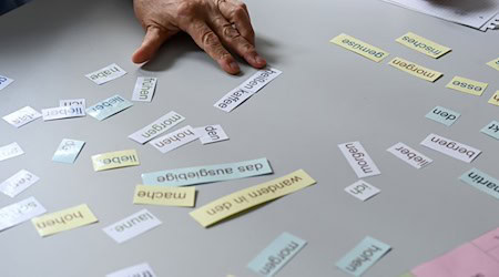 Seven new centers are to help adults with reading and writing difficulties in Saxony. (Symbolic image) / Photo: Jens Kalaene/dpa