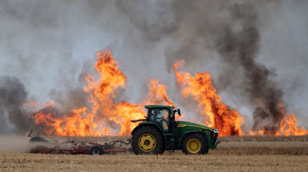 Immer wieder muss die Feuerwehr im Sommer auch zu Feldbränden ausrücken. (Archivbild) / Foto: Ralf Hirschberger/dpa