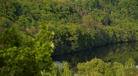 The old bridge near Mulda is to be replaced by a new one. (Symbolic image) / Photo: picture alliance / ZB