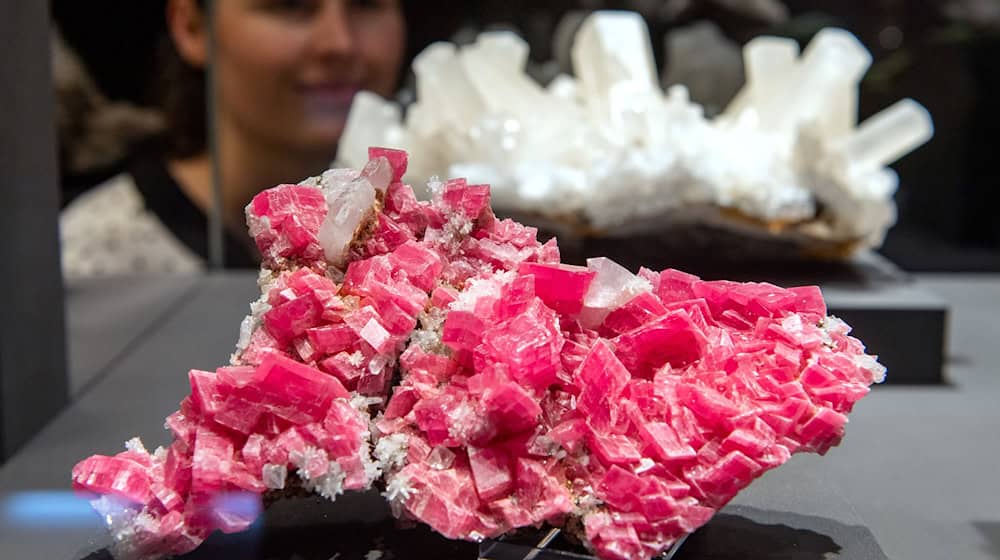 El tesoro de minerales de Sajonia: "Terra Mineralia" celebra su 15º aniversario. (Foto de archivo) / Foto: Hendrik Schmidt/dpa-Zentralbild/ZB