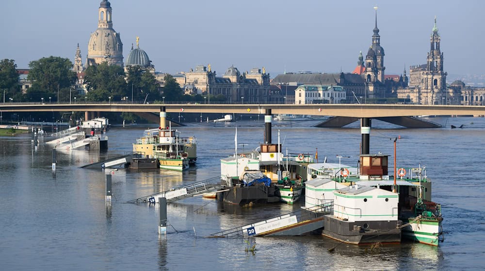 Die historische Elbdampfer-Flotte an ihren Anlegestellen des überfluteten Dresdner Terrassenufers. (Archivbild) / Foto: Robert Michael/dpa