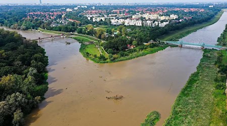 Überschwemmung an der Oder in Polen. / Foto: Maciej Kulczynski/PAP/dpa