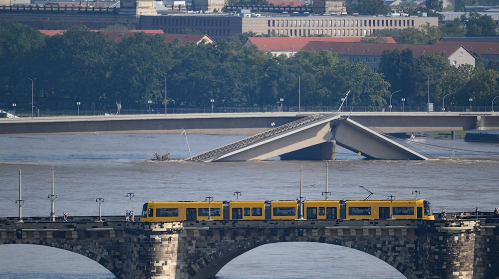 Elbe-Hochwasser in Dresden / Foto: Robert Michael/dpa