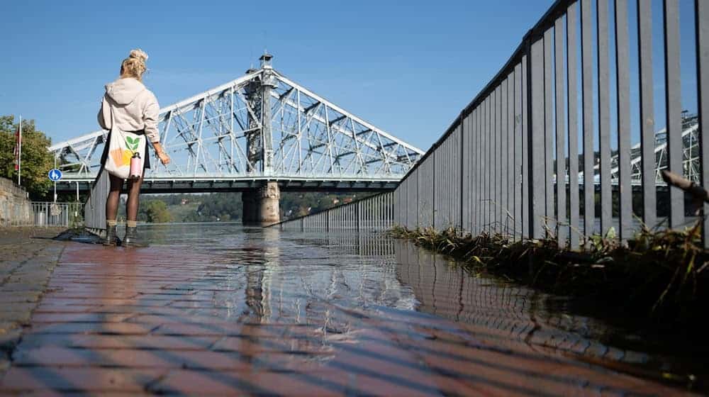 Die Elbe in Sachsen führt seit Wochenbeginn kein Hochwasser mehr. (Archivbild) / Foto: Sebastian Kahnert/dpa