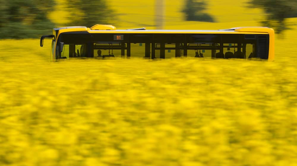 Nach einem rassistischen Vorfall in einem Linienbus sucht die Polizei Zeugen. (Symbolbild) / Foto: picture alliance / Sebastian Kahnert/dpa-Zentralbild/ZB