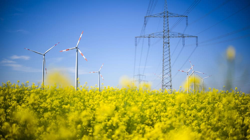 Electricity grids need to be expanded for more renewable energy. / Photo: Julian Stratenschulte/dpa