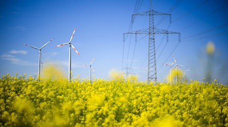 Für mehr erneuerbare Energie müssen Stromnetze ausgebaut werden. / Foto: Julian Stratenschulte/dpa