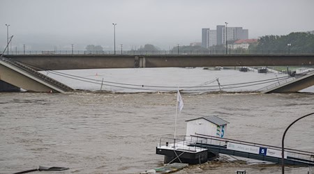 Die Hochwasser führende Elbe fließt an der teilweise eingestürzten Carolabrücke entlang. / Foto: Robert Michael/dpa