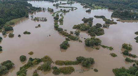 Die Lausitzer Neiße bei Görlitz mit Hochwasser. / Foto: Paul Glaser/dpa