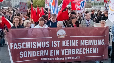 Anti-AfD-Demo in Hamburg mit Hunderten Demonstranten  / Foto: Bodo Marks/dpa