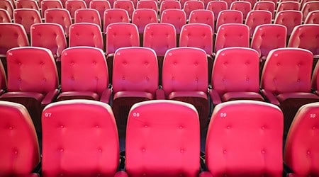 Rows of seats in a movie theater / Photo: Oliver Berg/dpa