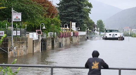 Die Elbe ist auch in Bad Schandau in der Sächsischen Schweiz - nahe dem Pegel Schöna - über die Ufer getreten. / Foto: Robert Michael/dpa