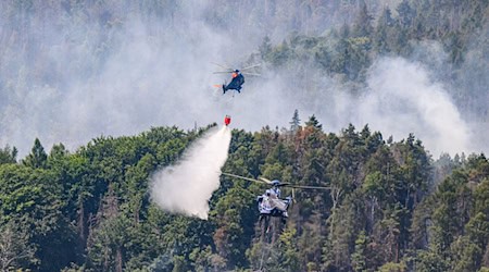 Ein nächtliches Betretungsverbot soll im Nationalpark Sächsische Schweiz Waldbrände verhindern. (Archivbild) / Foto: Robert Michael/dpa