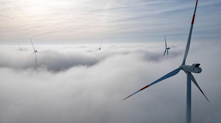 Mehr als 60 Unternehmen in Sachsen fordern mehr politische Unterstützung für den Ausbau erneuerbarer Energien (Symbolbild). / Foto: Jan Woitas/dpa