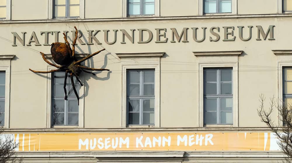 Construction of the new Natural History Museum has begun. (Photo: Illustration) / Photo: Sebastian Willnow/dpa-Zentralbild/dpa