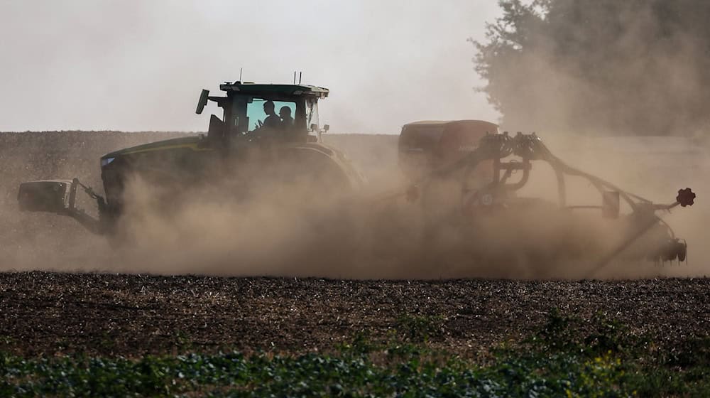 Rain is urgently needed for the winter barley and other crops. (Photo: Archive) / Photo: Jan Woitas/dpa/ZB