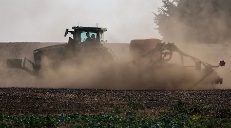 Rain is urgently needed for the winter barley and other crops. (Photo: Archive) / Photo: Jan Woitas/dpa/ZB