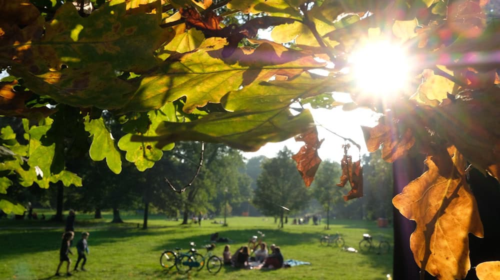 Sonniges Spätsommerwetter lockt am Wochenende die Menschen ins Freie. (Symbolbild) / Foto: Sebastian Willnow/dpa-Zentralbild/dpa