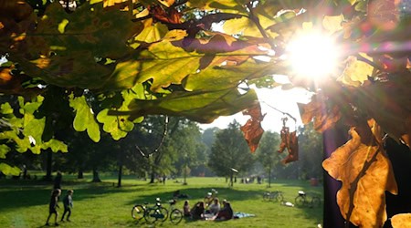 Sonniges Spätsommerwetter lockt am Wochenende die Menschen ins Freie. (Symbolbild) / Foto: Sebastian Willnow/dpa-Zentralbild/dpa