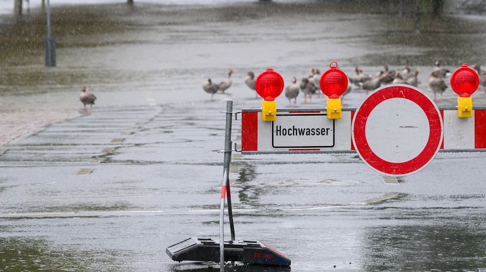 In Schöna wurde am Montag der Richtwert für die zweithöchste Unwetter-Warnstufe überschritten. / Foto: Robert Michael/dpa