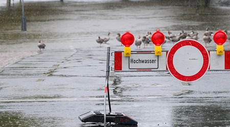 In Schöna wurde am Montag der Richtwert für die zweithöchste Unwetter-Warnstufe überschritten. / Foto: Robert Michael/dpa