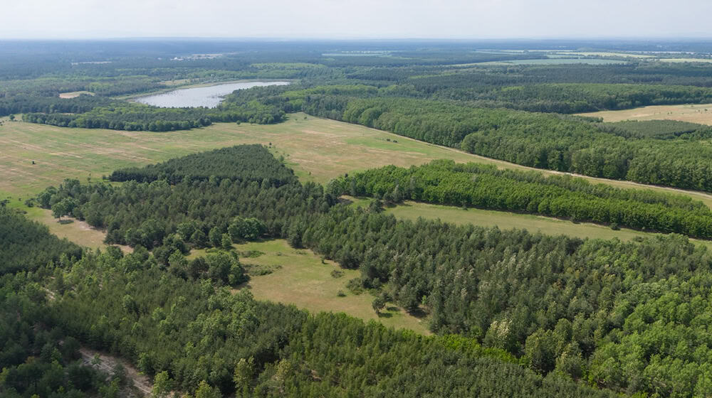 Žadyn lěsny woheń njebě po wozjewjenju ministerstwa wjetši hač jedyn hektar. (Archivbild) / Foto: Sebastian Kahnert/dpa