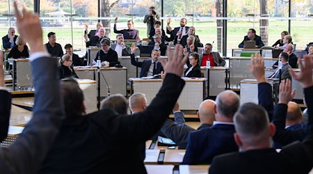 Experto: Los votos de BSW a favor de la moción de AfD son maniobras perturbadoras / Foto: Robert Michael/dpa