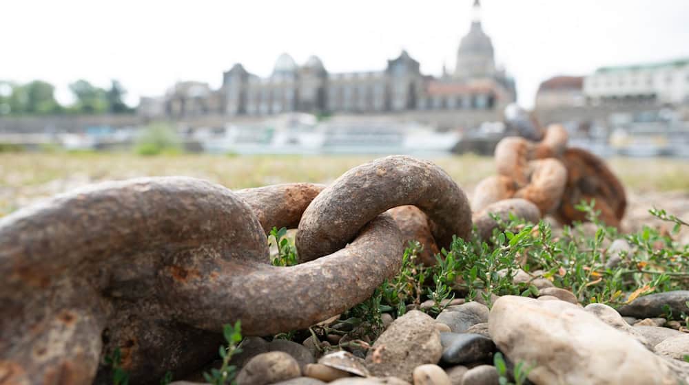 The city allows water to be drawn from rivers in Dresden again - this was prohibited during the dry summer. (Archive photo) / Photo: Sebastian Kahnert/dpa