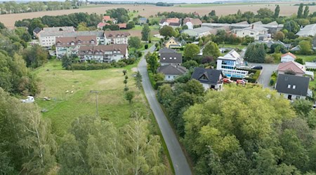 Der Weg bei Klipphausen, auf dem der Jogger gefunden wurde, aus der Vogelperspektive. / Foto: Sebastian Kahnert/dpa