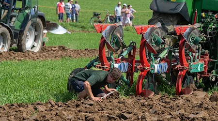 Nimale połojca wšěch dźěławych w sakskim ratarstwje su swójbne dźěłowe mocy. (Symbolbild) / Foto: Stefan Puchner/dpa