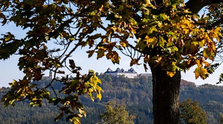 Es wird zu Beginn dieser Woche noch einmal außergewöhnlich mild in Sachsen. (Symbolbild) / Foto: Hendrik Schmidt/dpa