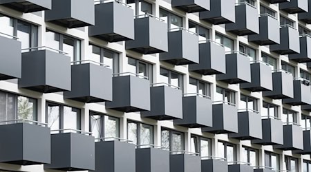 The city of Dresden wants to speed up housing construction (symbolic image). / Photo: Sebastian Kahnert/dpa