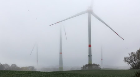 Das Wetter in Sachsen bleibt grau. (Archivbild) / Foto: Bernd Wüstneck/dpa