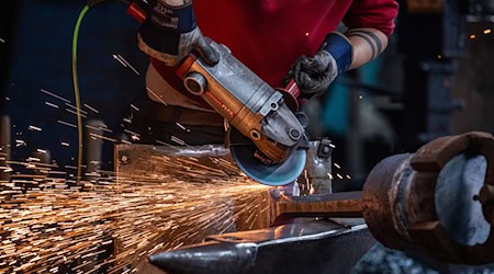 The skilled trades in Saxony are calling for a bonus for vacation internships (Photo: Archive) / Photo: Armin Weigel/dpa